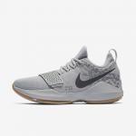 PG1